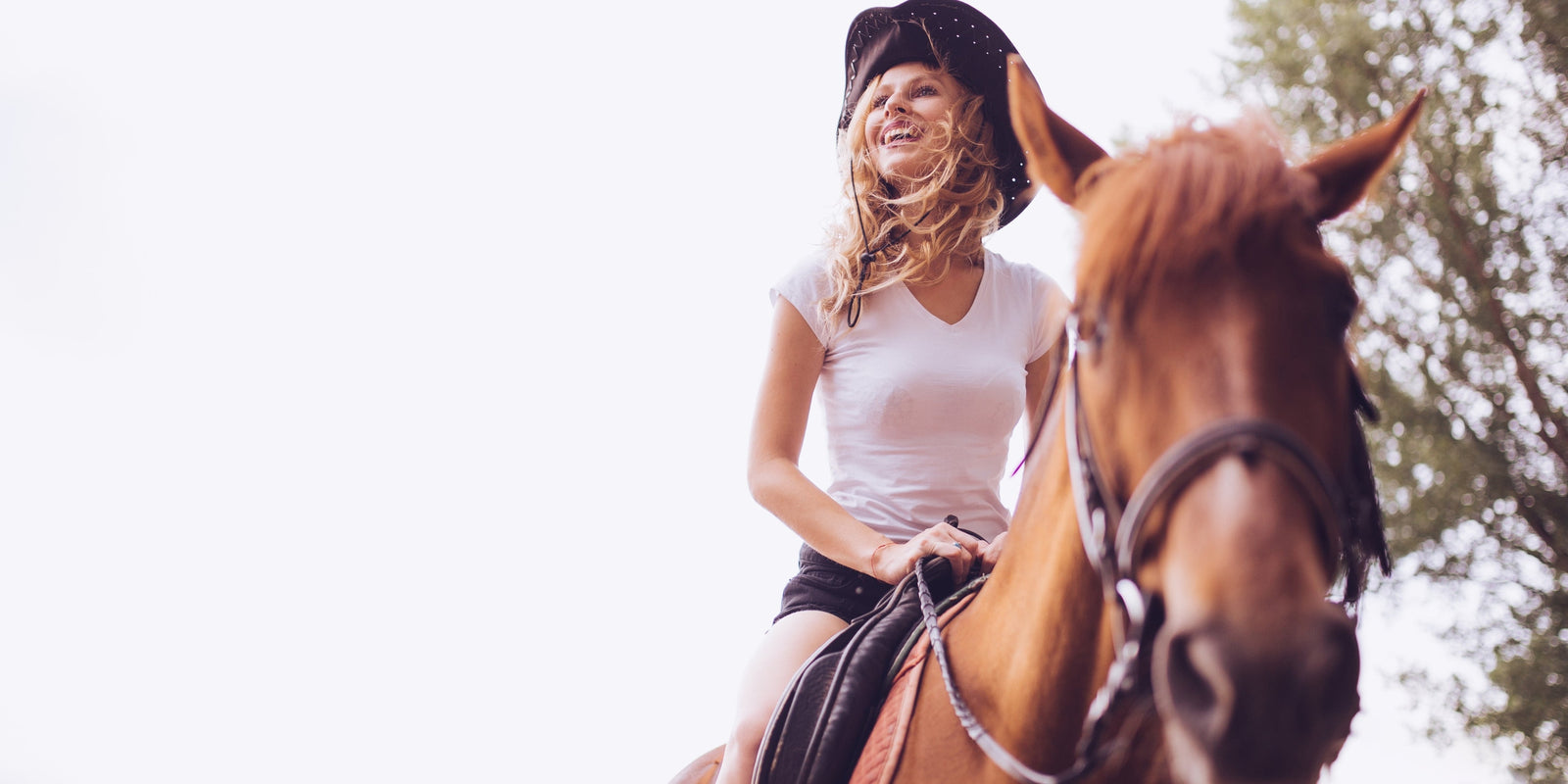 Die beste Reitbekleidung 2026: Worauf du wirklich achten musst