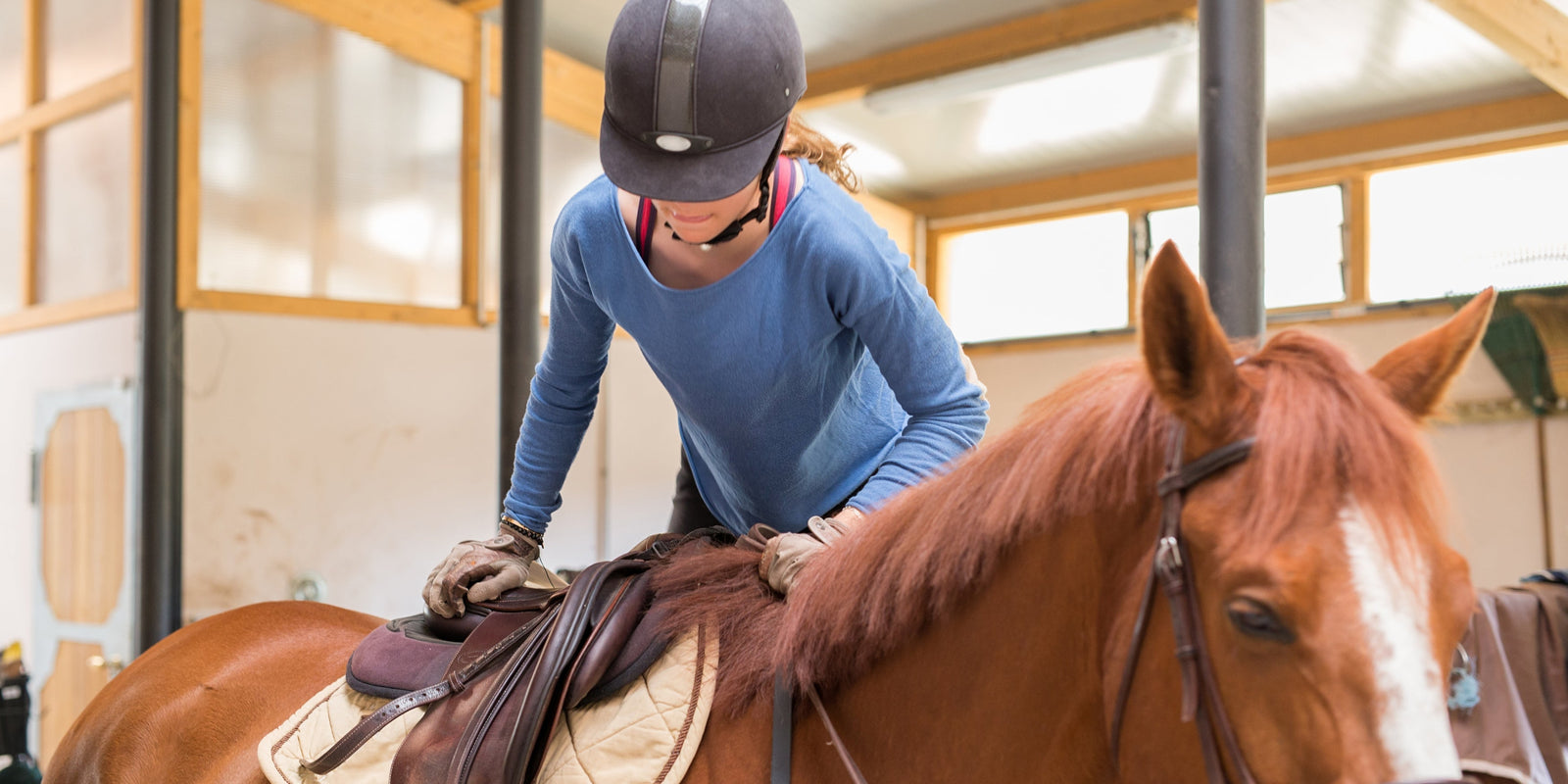 Warum hochwertige Reitsportausrüstung den Unterschied macht