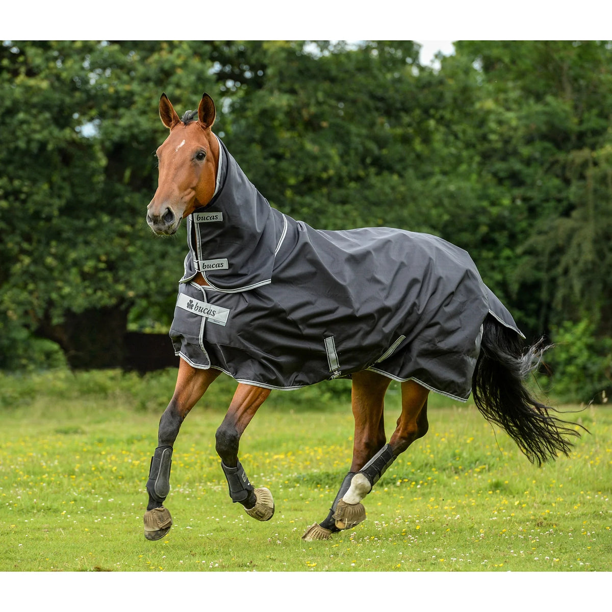 Bucas SMARTEX Halsteil