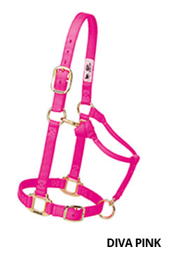 35-7035-DivaPink