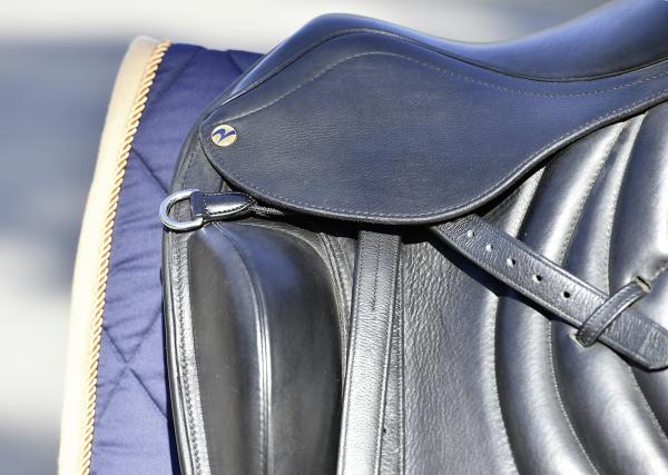 BUSSE-D-Ring-FLEXIBLE-am-Sattel-1-111104
