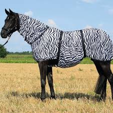 BUSSE-Ekzemerdecke-ZEBRA-seitlich