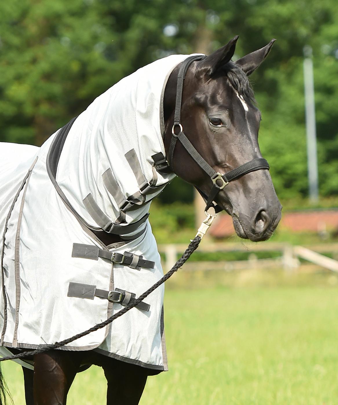 BUSSE-Fliegendecke-COMFORT-front-603144