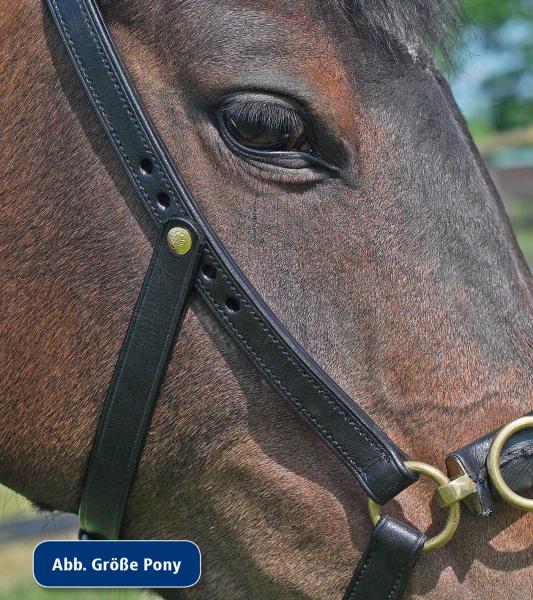 BUSSE-Kappzaum-PROFESSIONAL-Pony-1