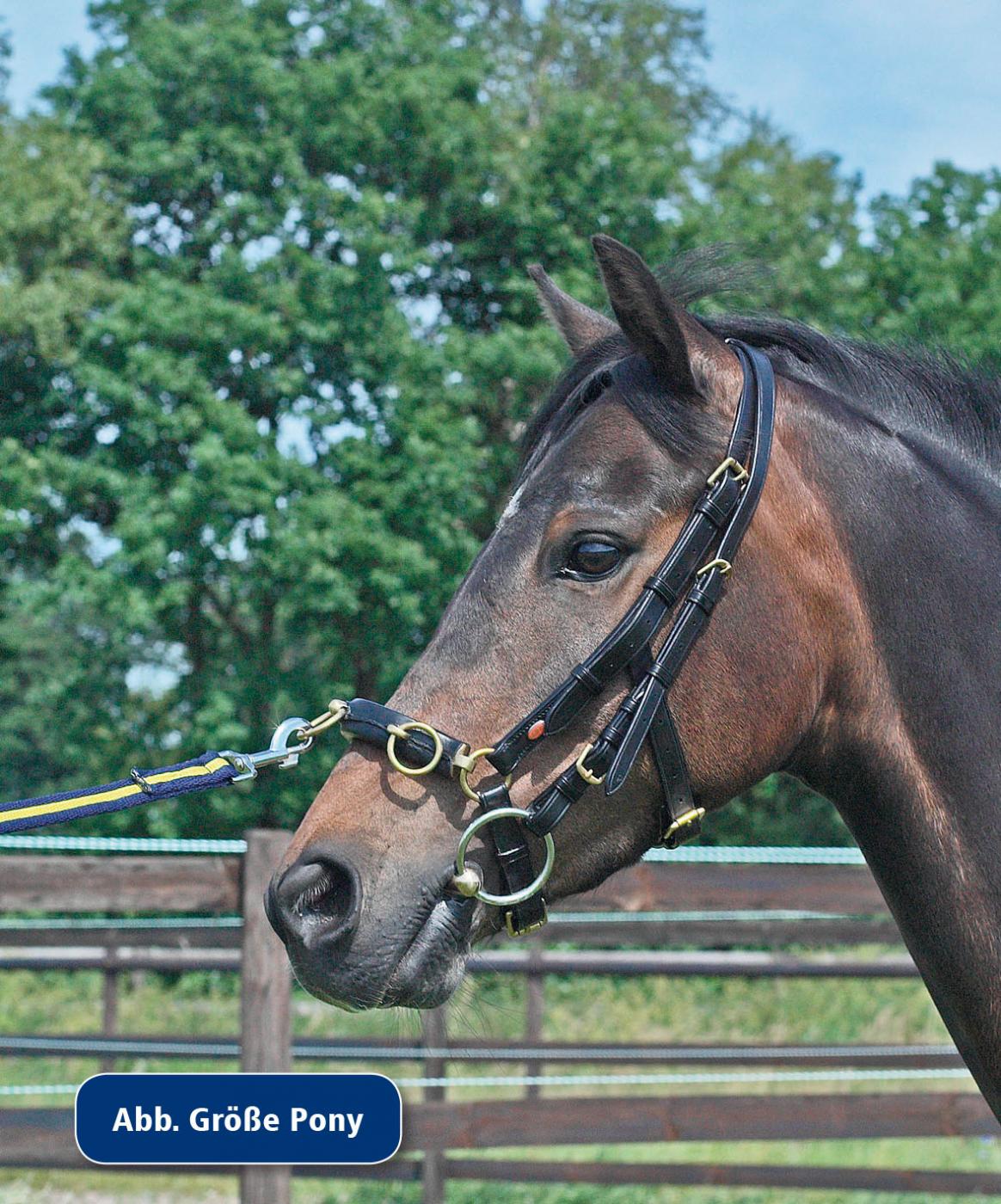 PONY