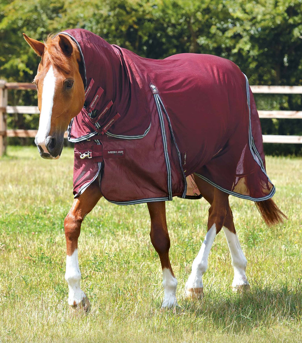 Combo-Mesh-Air-Fly-Rug-with-Surcingles-Wine-1_e8b5f1d6-4284-477f-8342-3a7a5fa66cfb_1536xzaIq7L2Zk34DL
