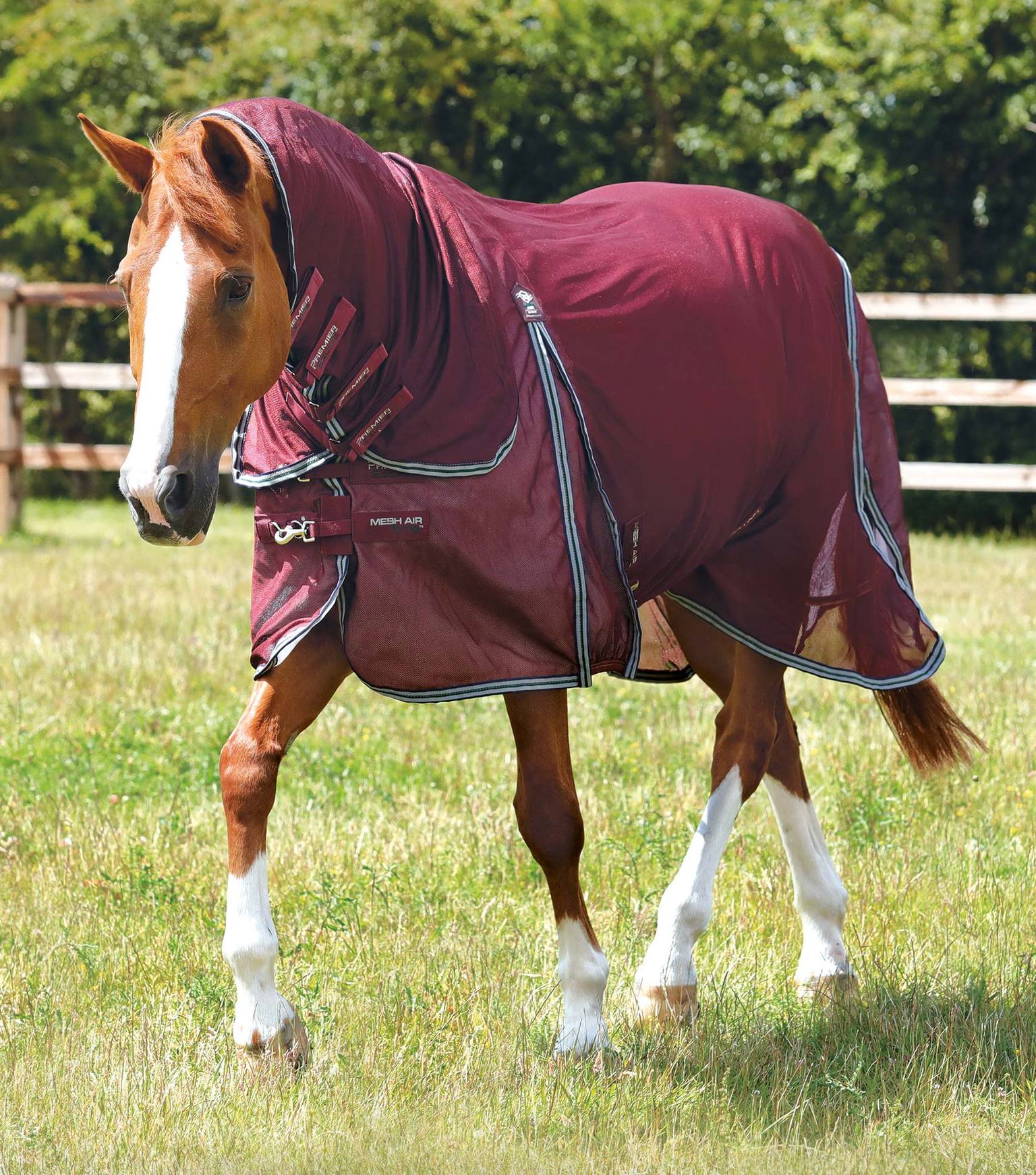 Combo-Mesh-Air-Fly-Rug-with-Surcingles-Wine-1_e8b5f1d6-4284-477f-8342-3a7a5fa66cfb_1536xzaIq7L2Zk34DL