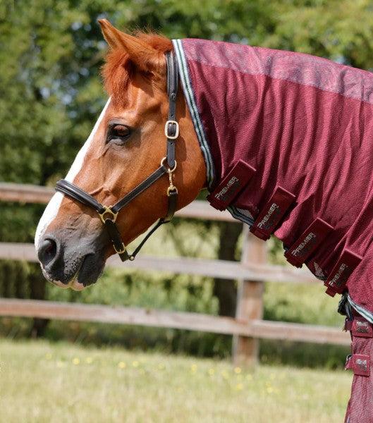Combo-Mesh-Air-Fly-Rug-with-Surcingles-Wine-2_1536x_600x600qyJLzNNT3sfaR