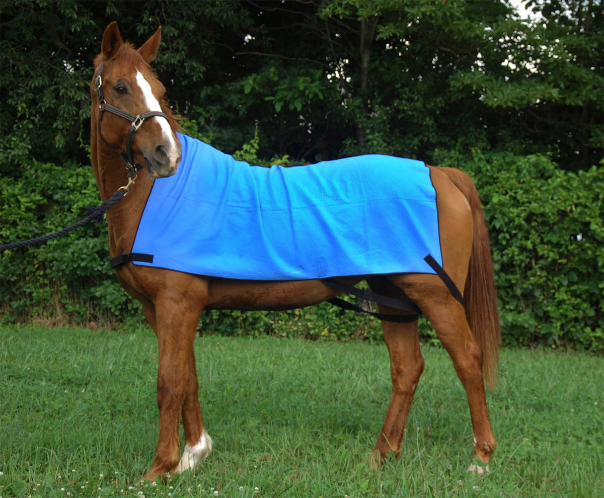 Equicooldown BodyWrapNewWeb