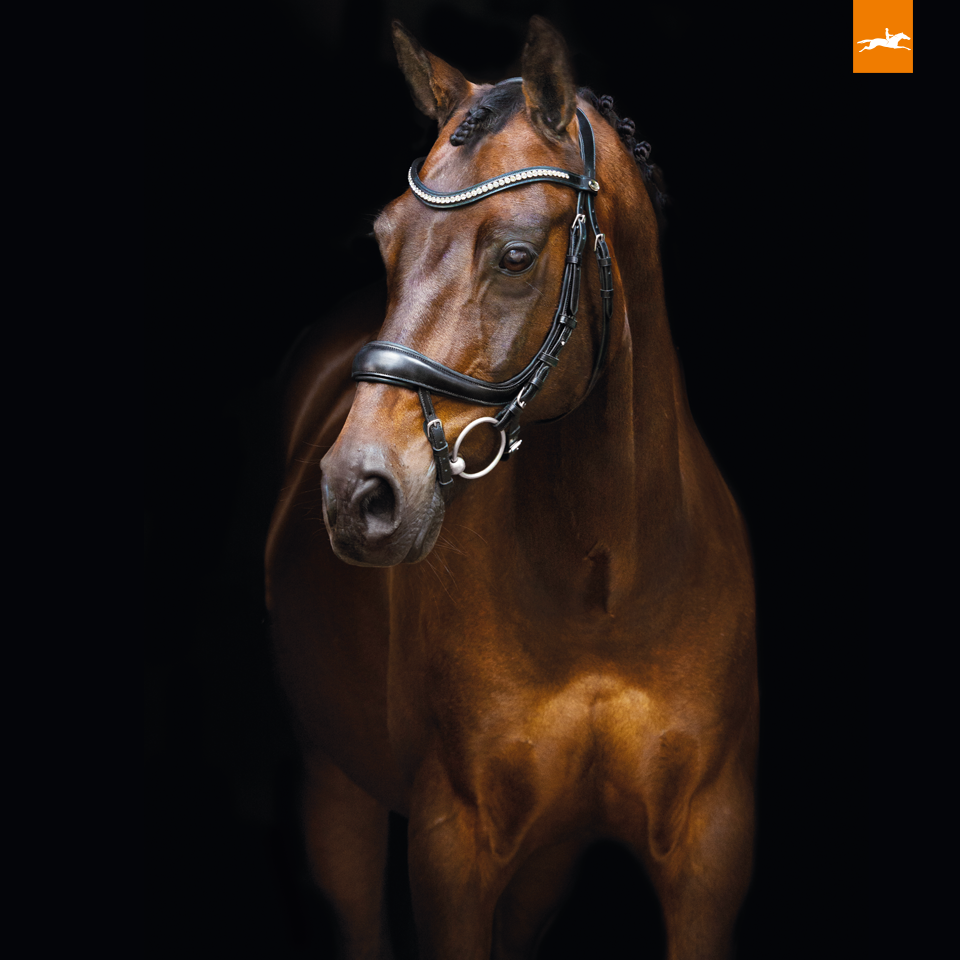EquitusBeta_blacksilver