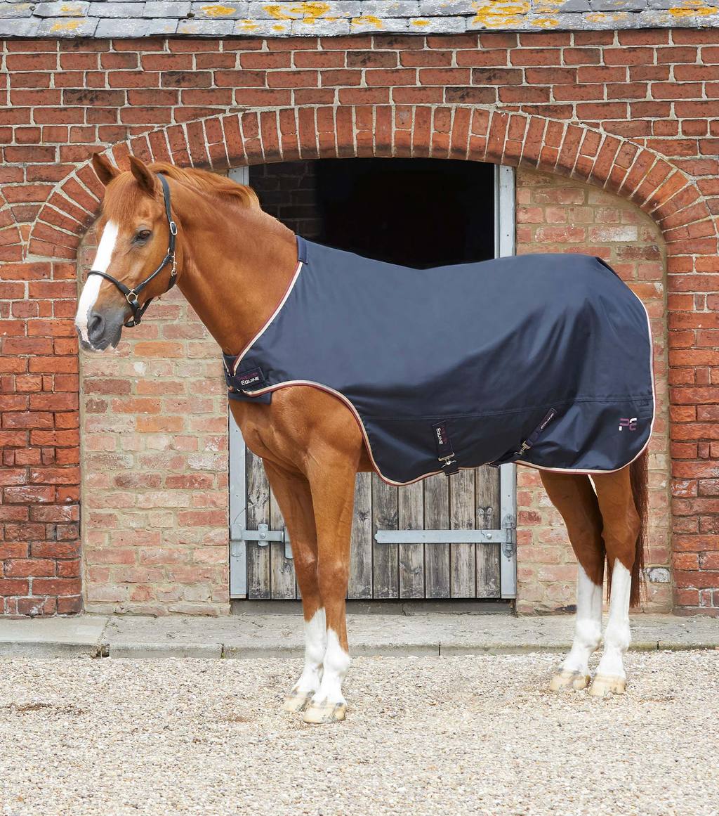 Horse-Walker-Rug-0-Navy-1_1024x