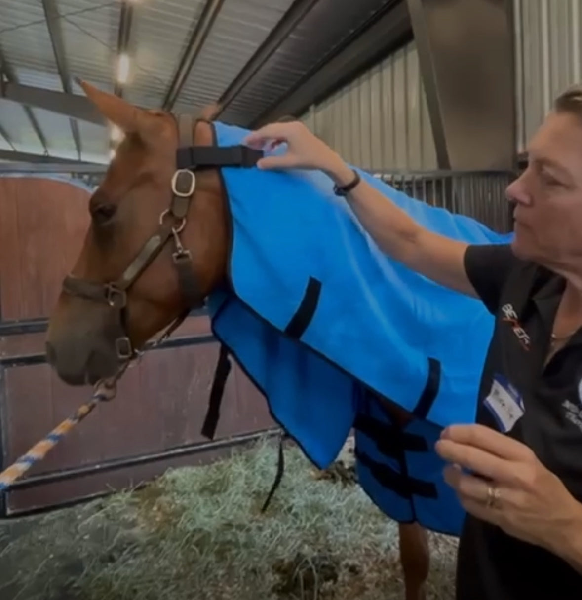 Enveloppement corporel Equi Cool Down