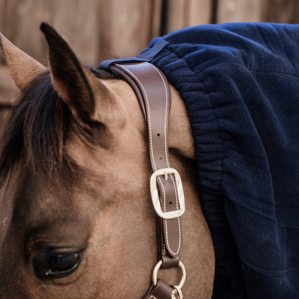 Kentucky Hals-Decke Heavy Fleece schwarz