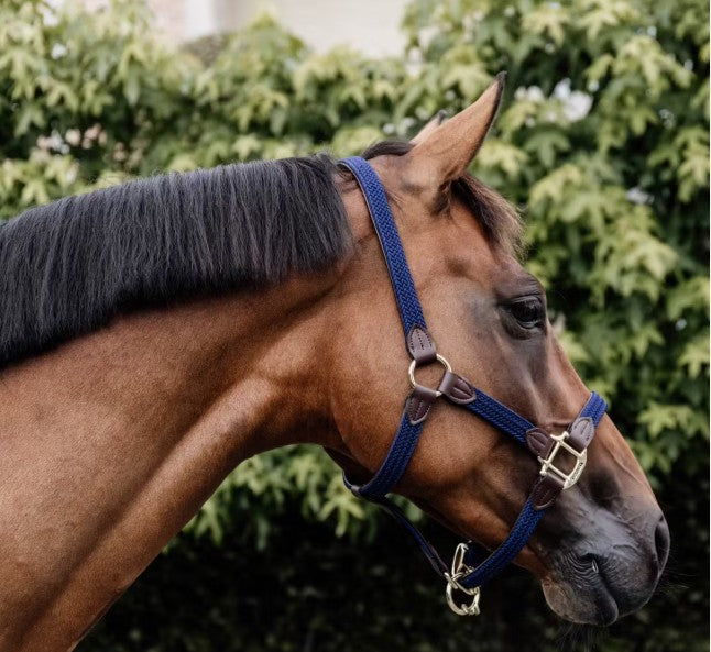 Kentucky Halfter Plaited Nylon