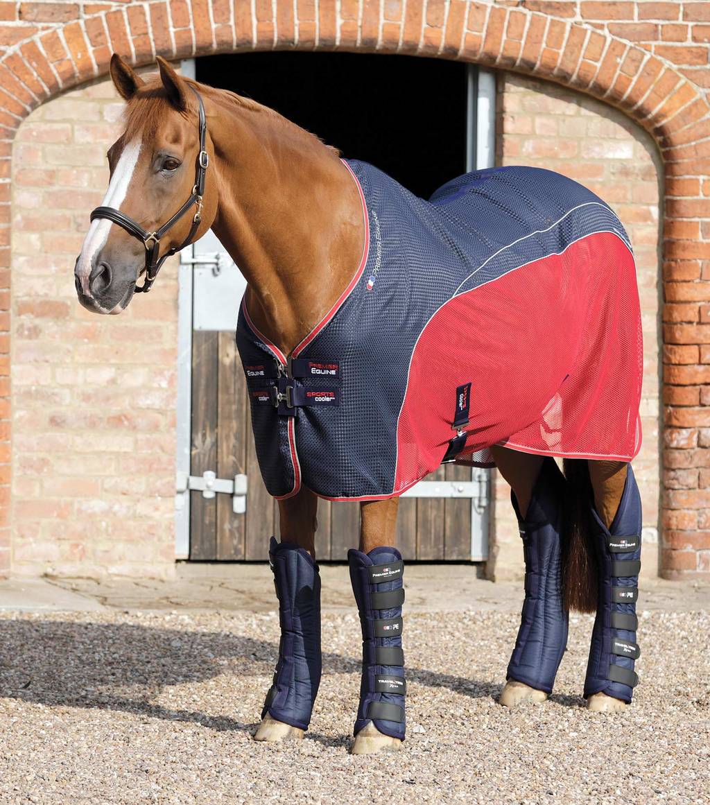 PE-Sport-Cooler-Rug-Navy-1_10c4d000-7d7e-45d6-9ada-95fc0b4c2751_1024x