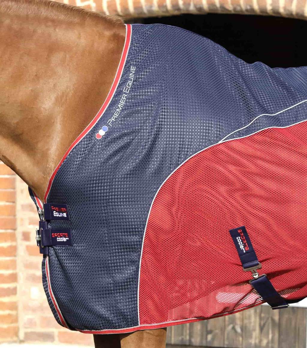 PE-Sport-Cooler-Rug-Navy-2_1024x
