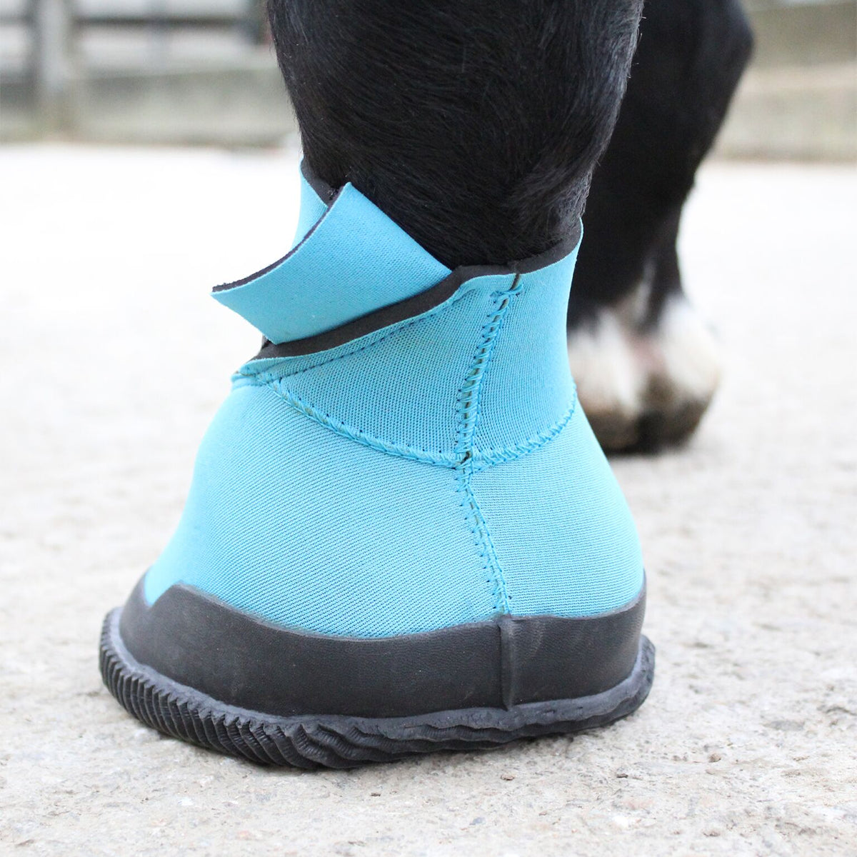 PFI-Medical-Hoof-Boots-1