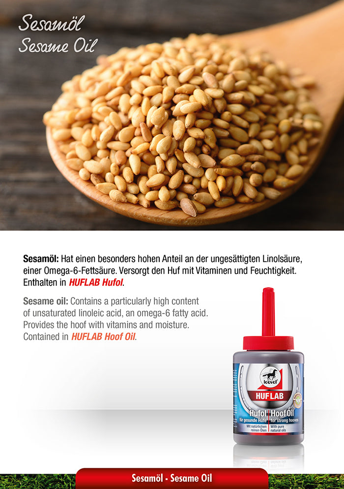 Sesam