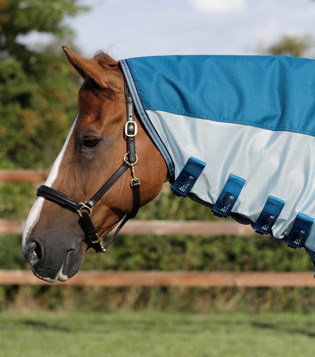 Stay-Dry-Mesh-Air-Fly-Rug-with-Surcingles-Blue-2_a72b8cd2-cdbd-4918-895d-85c114668689_1024x