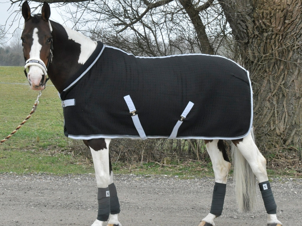 Xth-Stable-rug-PR-wm