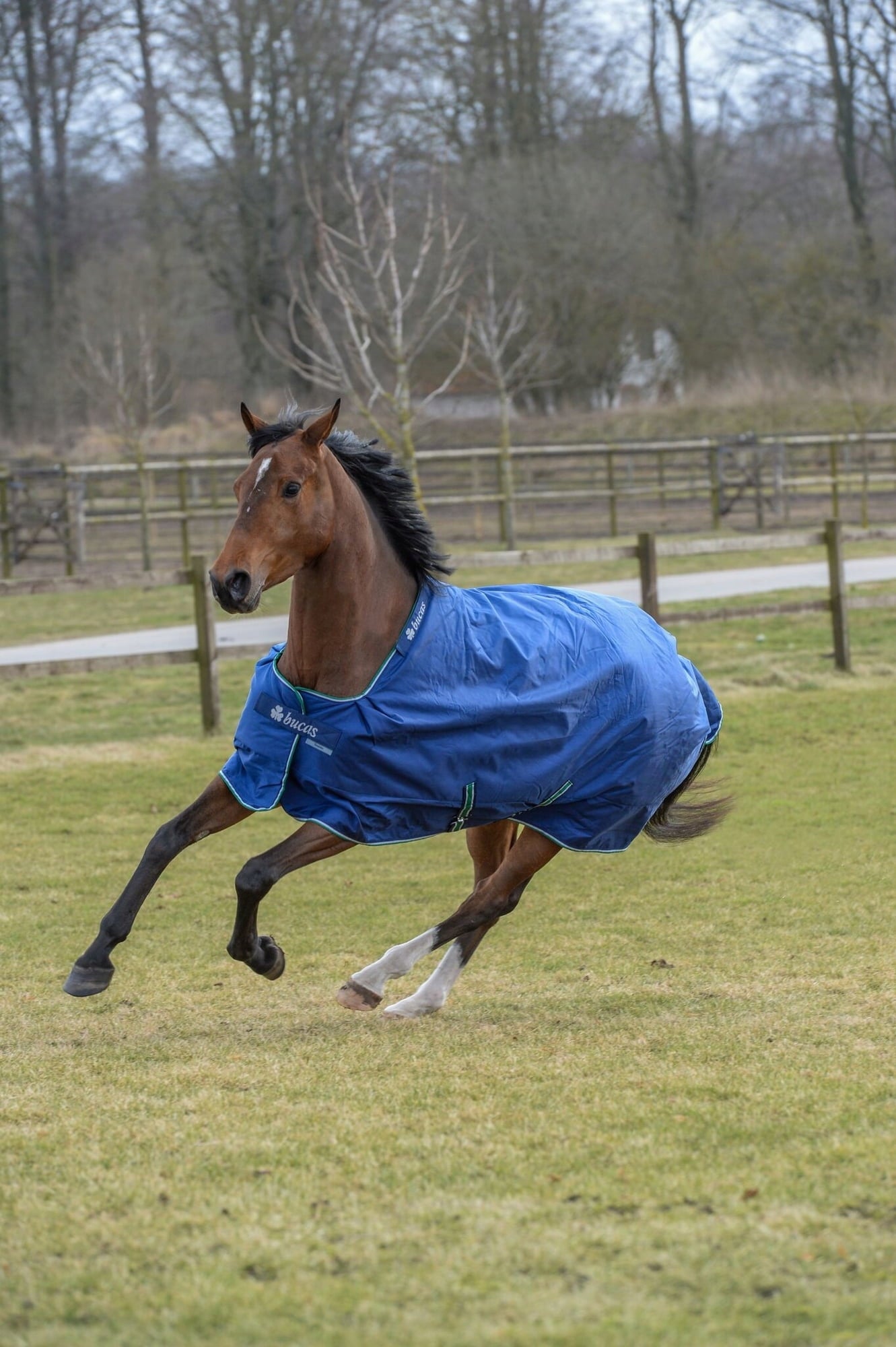 bucas-smartex-rain-blau-501874-de