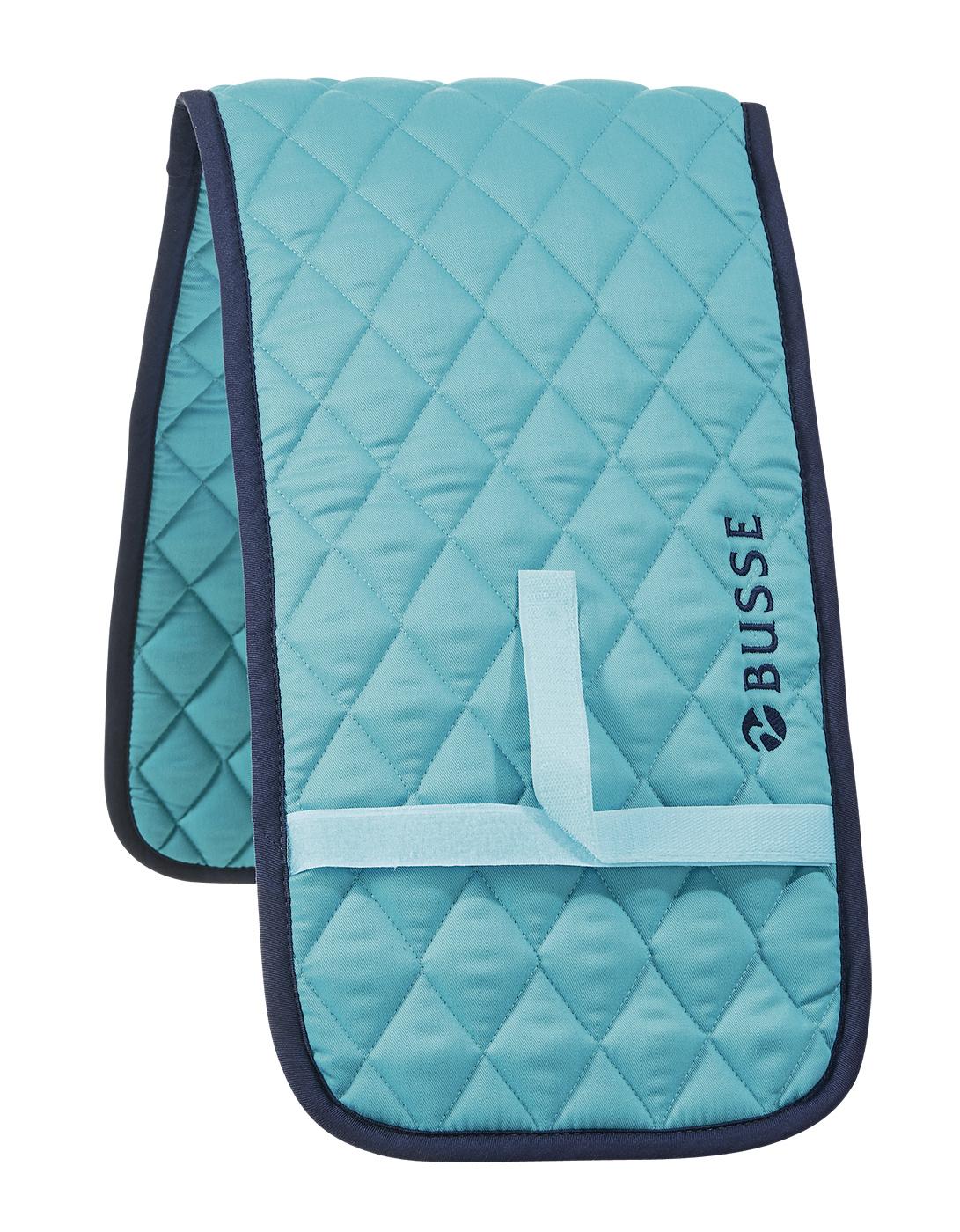 busse-aruba
