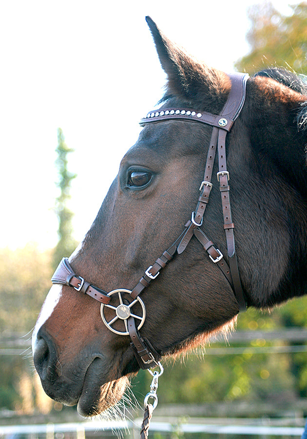 full_02_hackamore_zaum_anatomic_23LRmmFp7tY41d