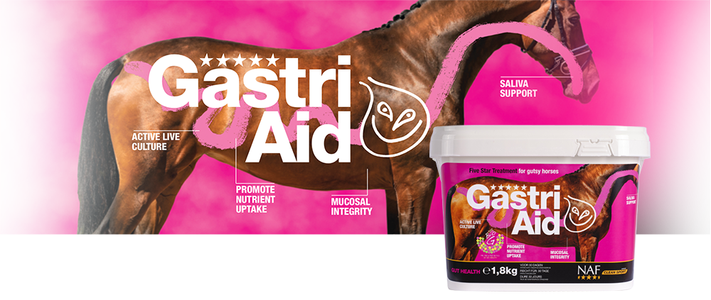 gastriaid