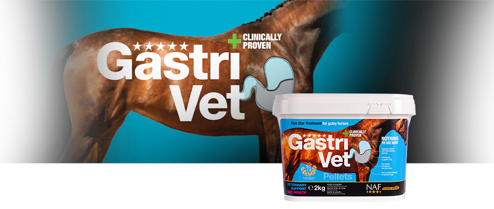 gastrivet-pelletsmmGjLtR7ZTve0