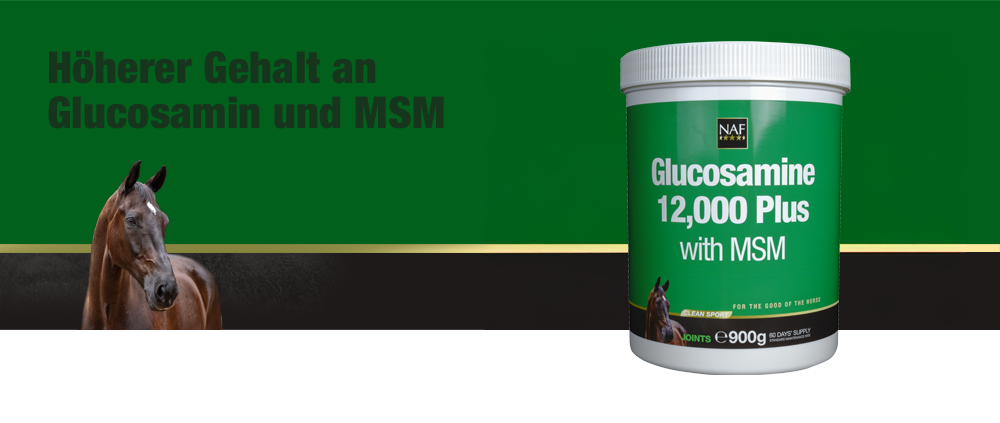 glucosamine-12000-plus-mit-msm