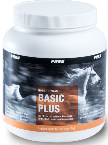horse-dynamic-basic-plus