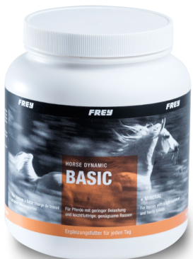 horse-dynamic-basic