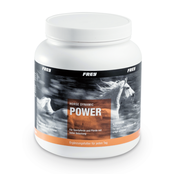 horse-dynamic-power-600x600