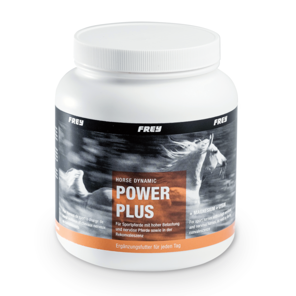horse-dynamic-power-plus-600x600