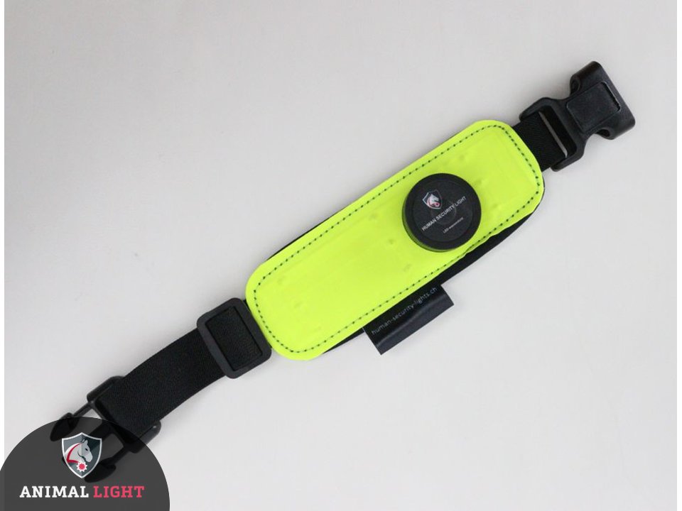 leucht-armbinde-flex_1_13
