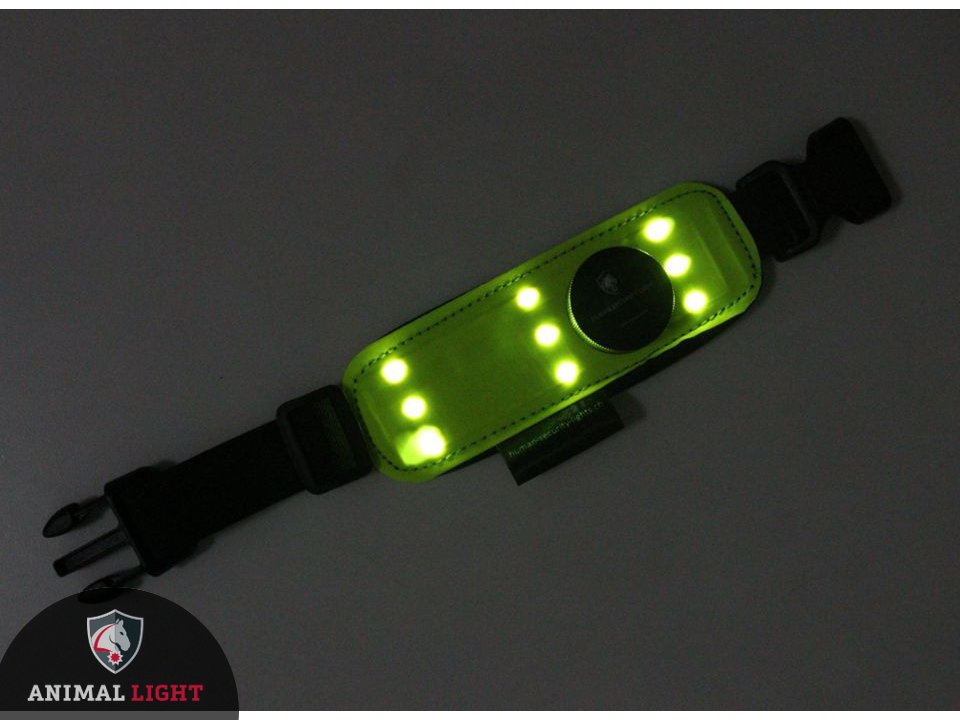 leucht-armbinde-flex_1_23