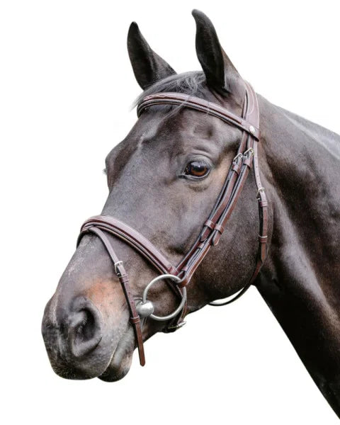 Bridon Success SHISUN Pro marron clair