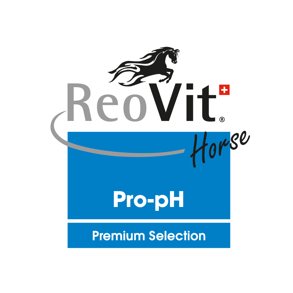reovit-pro-ph
